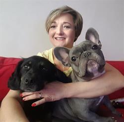Dog Spa Salon, Carei program de funcționare