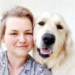 Aky Frizerie Canina - Pet grooming, Braşov program de funcționare