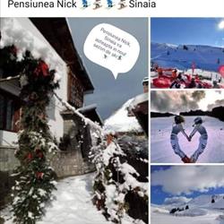 Pensiunea Nick, Sinaia program de funcționare