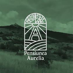 Pensiunea Aurelia, Şiria program de funcționare