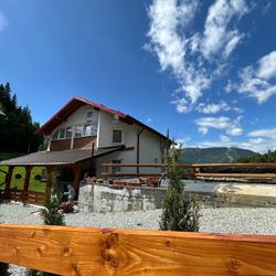 Casa Ileana Timis, Borşa program de funcționare