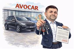 Avocar, Sânnicolau Mare program de funcționare