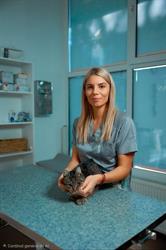 Cabinet Veterinar Giulivet, Satu Mare program de funcționare