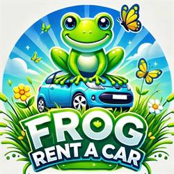 Frog rent a car / închirieri auto, Vaslui program de funcționare