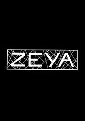 Zeya, Carei program de funcționare