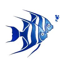 Aquanick, Constanţa program de funcționare