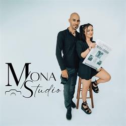 Mona Studio, Făget program de funcționare