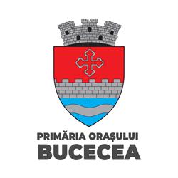Primaria Bucecea, program de funcționare
