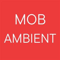 MobAmbient, Bucureşti program de funcționare