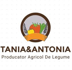 Tania&Antonia.srl, Buziaş program de funcționare