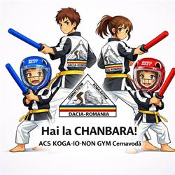 Asociaţia CLUB SPORTIV KOGA-IO-NON GYM, Cernavodă program de funcționare
