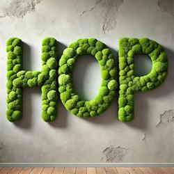 HOP - House of papa, Floreşti program de funcționare