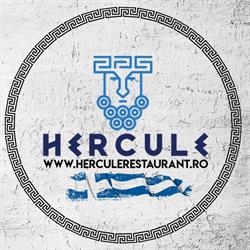 Hercule, Vaslui program de funcționare