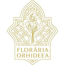 Floraria Orhideea, Pecica program de funcționare