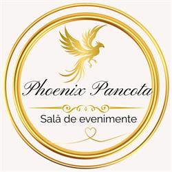 Phoenix, Pâncota program de funcționare