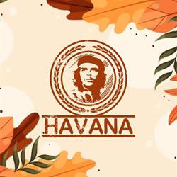 Havana Focsani, Vâlcele program de funcționare