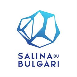 Salina cu Bulgari, Bucureşti program de funcționare