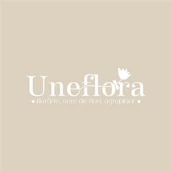 Uneflora, Fărcaşa program de funcționare