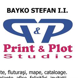 Print Plot Studio, Topliţa program de funcționare