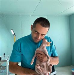 Cabinet Veterinar Dr.Sibisan Nicolae, Vinţu de Jos program de funcționare