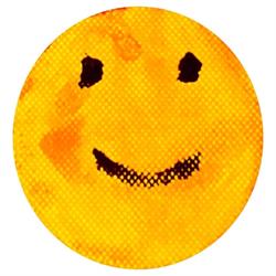 The 'Hope & Smile' Foundation (Asociatia Speranta si Zambet), Cisnădie program de funcționare