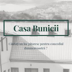 Pensiunea Casa Bunicii, Sasca Montană program de funcționare