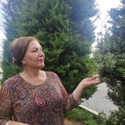 Ciobanu Georgeta Cabinet Individual de Psihologie, Cogealac program de funcționare