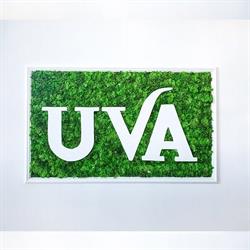 UVA Restaurant, Buzău program de funcționare