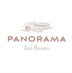 Panorama del Baron, Cluj-Napoca program de funcționare