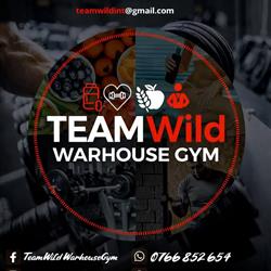 Team Wild Warhouse Gym, Sânnicolau Mare program de funcționare