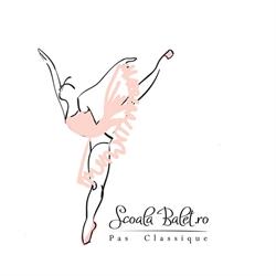 Pas Classique Ballet, Bucureşti program de funcționare