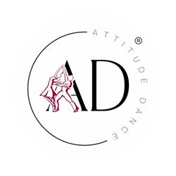Attitude Dance Studio, Cluj-Napoca program de funcționare