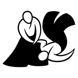 Şcoala de Aikido, Constanţa program de funcționare