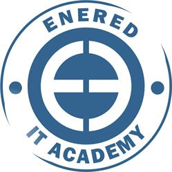 EnerEd IT Academy, Dancu program de funcționare