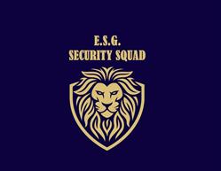 ESG Security SQUAD, Timişoara program de funcționare