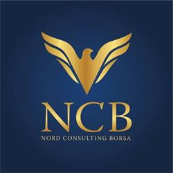 Nord Consulting Borsa SRL, program de funcționare