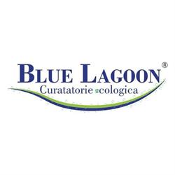 Blue Lagoon Clean HQ, Pantelimon program de funcționare
