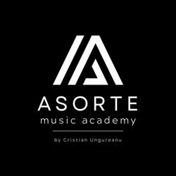 Asorte Music Academy, Bucureşti program de funcționare