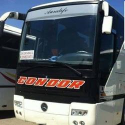 Condor Turizm, Constanţa program de funcționare
