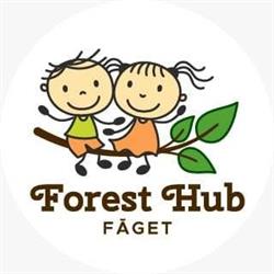 Forest Hub, Cluj-Napoca program de funcționare