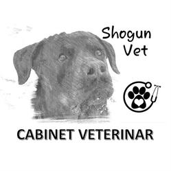 Shogun Vet, Bucureşti program de funcționare