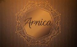 Boutique Villa Arnica, Cristian program de funcționare