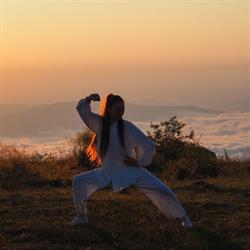 Chen Tai Chi Iaşi, program de funcționare