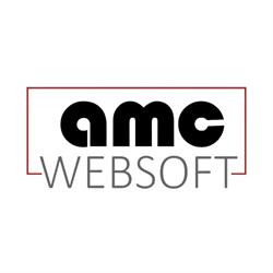 AMC WebSoft, Craiova program de funcționare