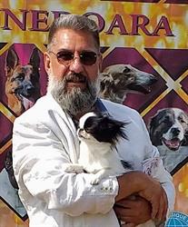 Amber Flowers - Chihuahua and Japanese Chin, Braşov program de funcționare