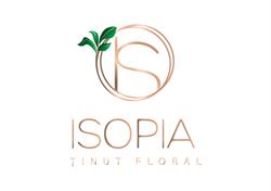 Isopia, Vicovu de Sus program de funcționare