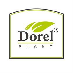 Dorel Plant, Poienii de Jos program de funcționare