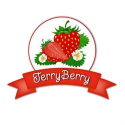 TerryBerry, Oşorhei program de funcționare