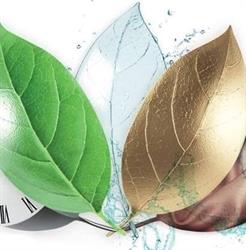 Spălătorie şi curăţătorie ecologică textile şi covoare, Făget program de funcționare