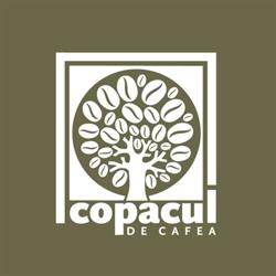 Copacul de cafea, Bistriţa program de funcționare